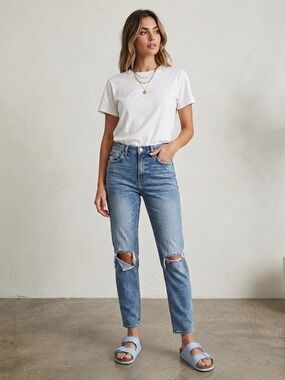 Anine Bing Distress Straight Leg Jeans Size 26